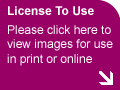 Purchase licence to use online or in print